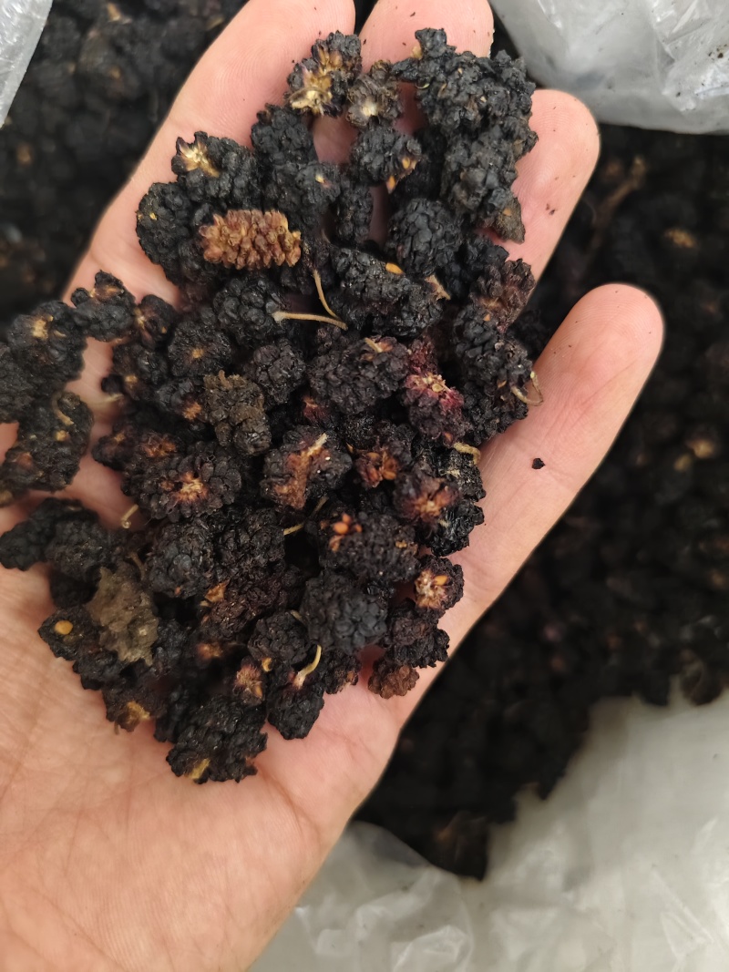桑椹各种规格桑椹齐全批发零售量大优惠