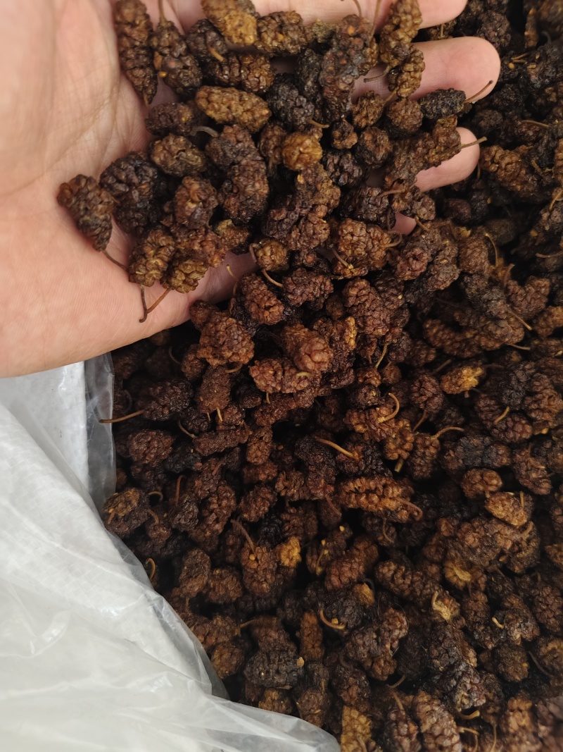 桑椹各种规格桑椹齐全批发零售量大优惠