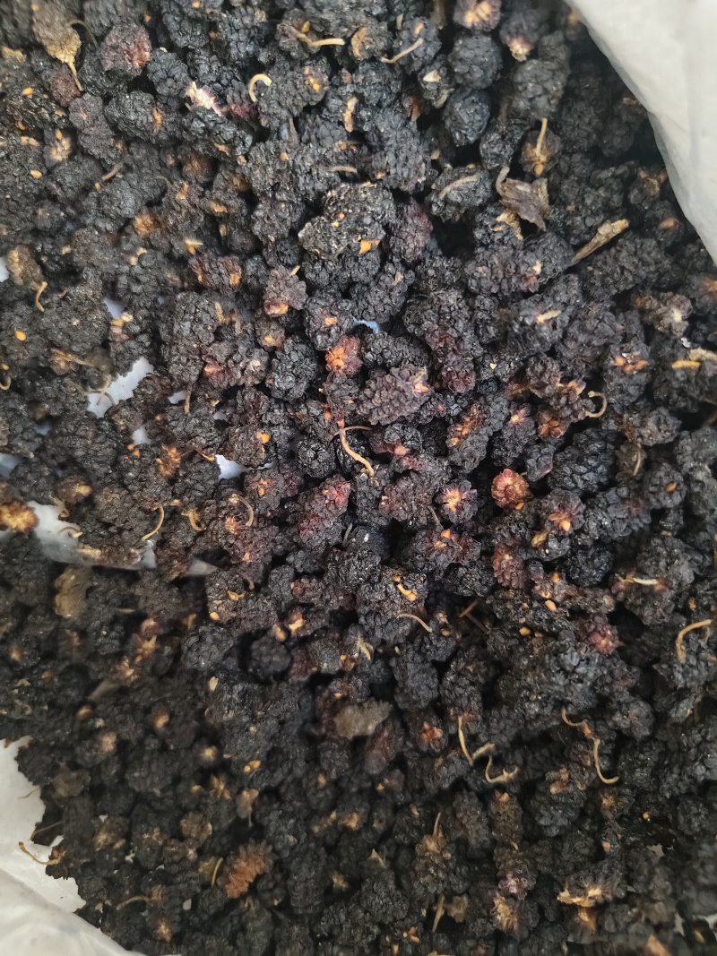 桑椹各种规格桑椹齐全批发零售量大优惠
