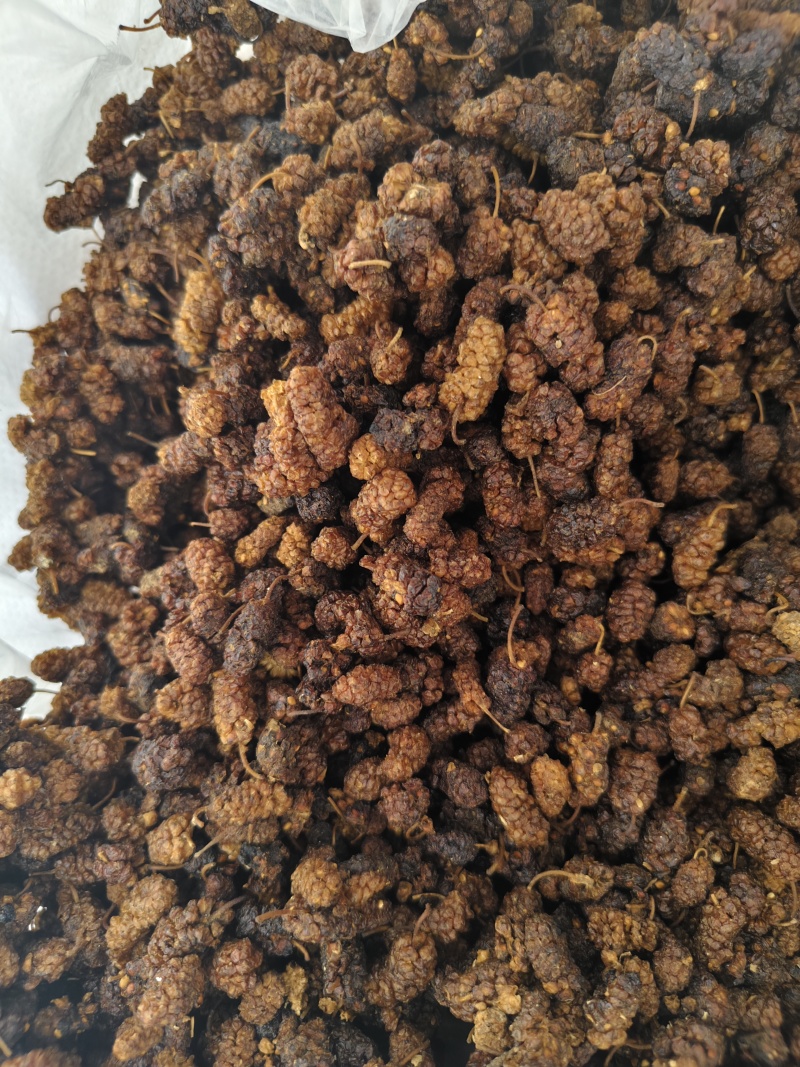 桑椹各种规格桑椹齐全批发零售量大优惠