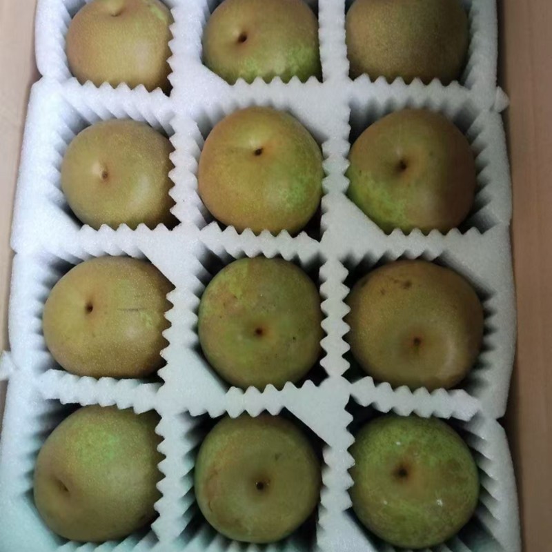 上海庄行密梨