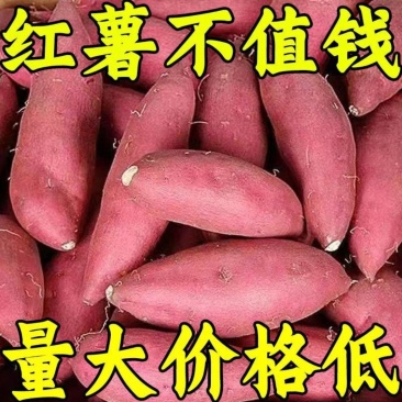 西瓜红