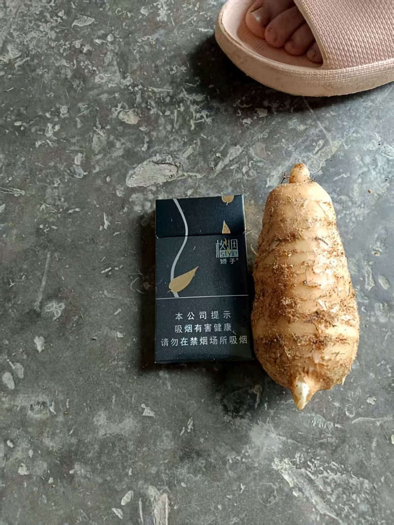 新鲜天麻预售一吨