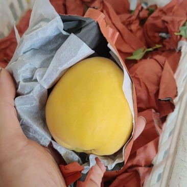黄桃