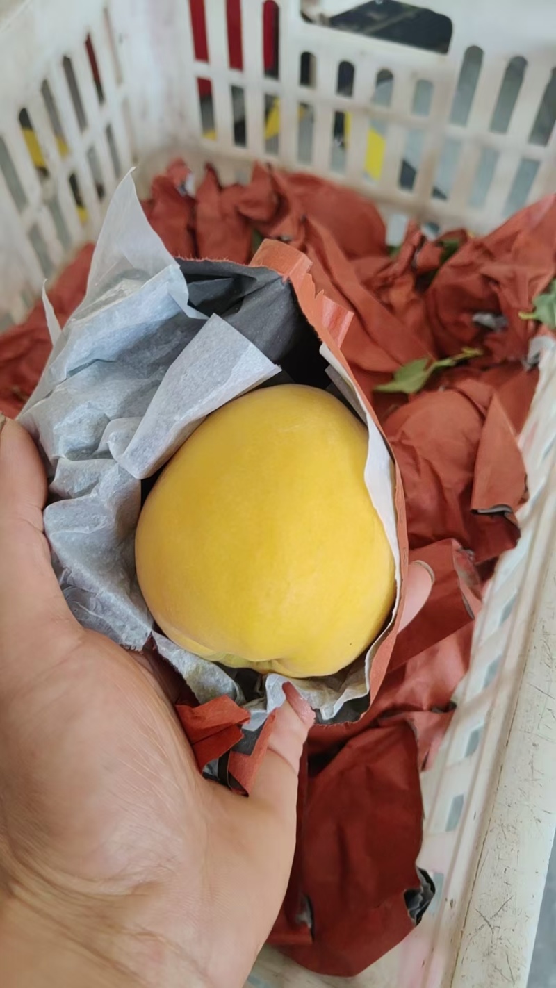 黄桃