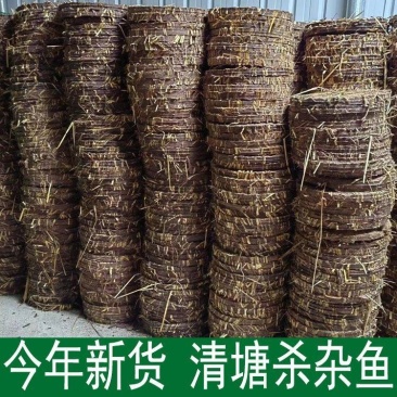 农用茶籽粉茶枯粉茶枯茶籽洗碗肥料茶麸茶粕新鲜压榨茶枯片块
