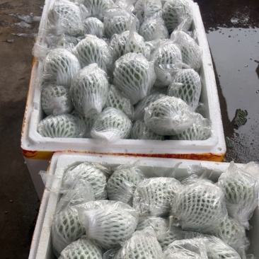 大量货源，全国发货，电商，市场，精品，头像有联系方式