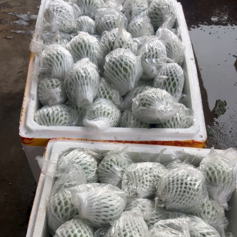大量货源，全国发货，电商，市场，精品，头像有联系方式