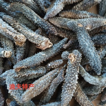正宗野生黑刺参干货各种规格低价批发，代发，一件