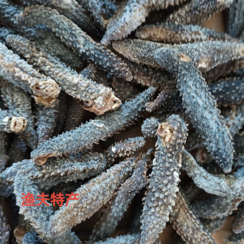 正宗野生黑刺参干货各种规格低价批发，代发，一件
