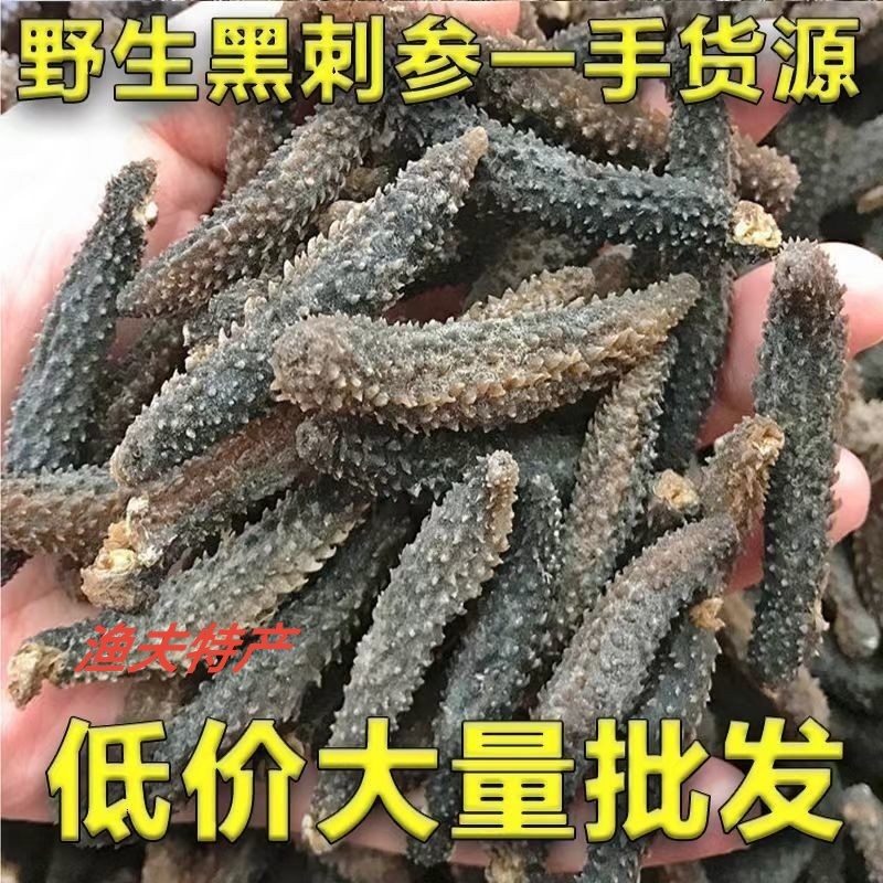正宗野生黑刺参干货各种规格低价批发，代发，一件