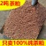 茶枯粉茶籽粉茶粕茶麸粉清塘杀虫厂家直销工厂价格
