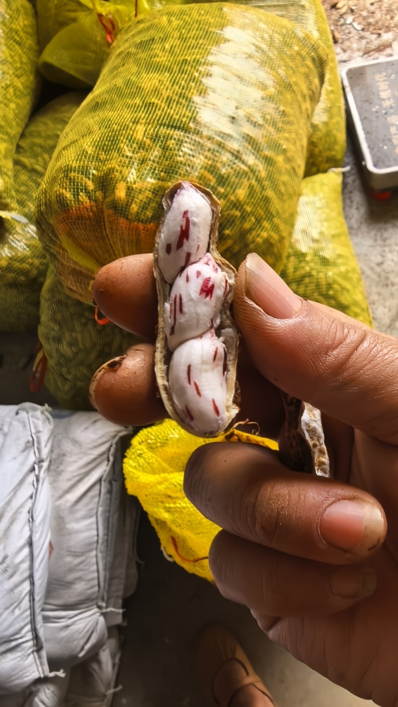 云南建水七彩花生，颗粒饱满，口感香甜。