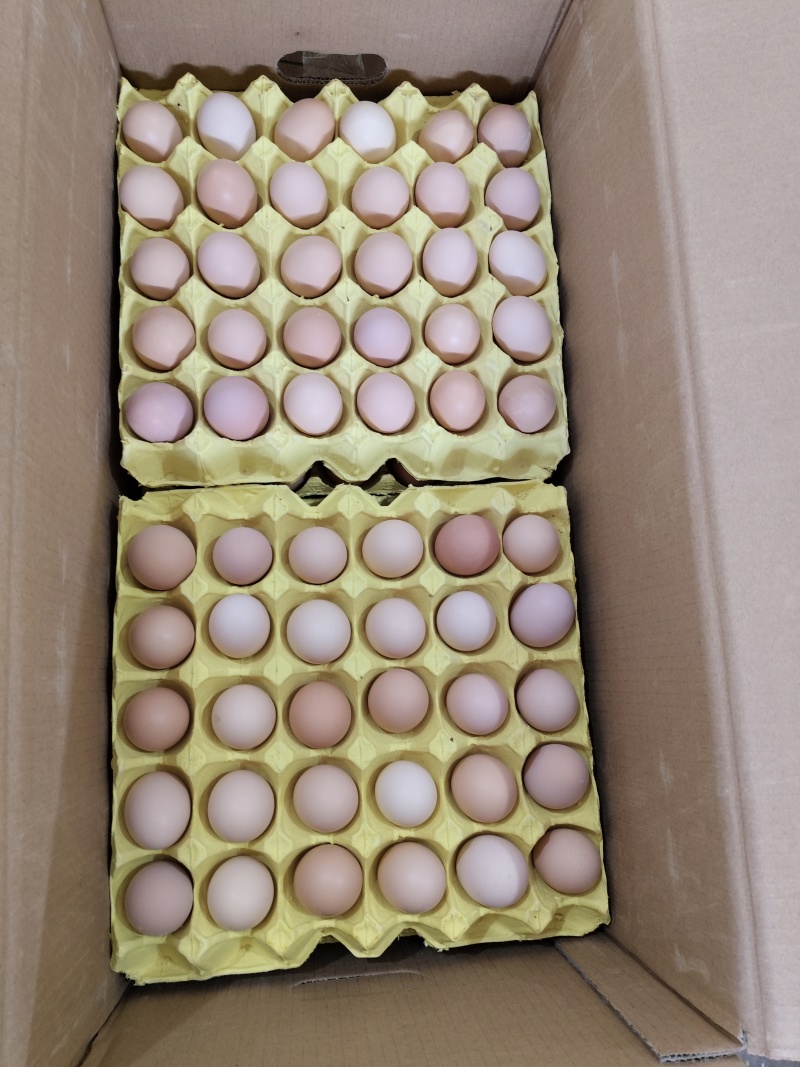 出售大码中码小码红心粉蛋