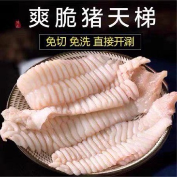 猪天梯货干冰水少精修不带肉猪天堂火锅食材板牙