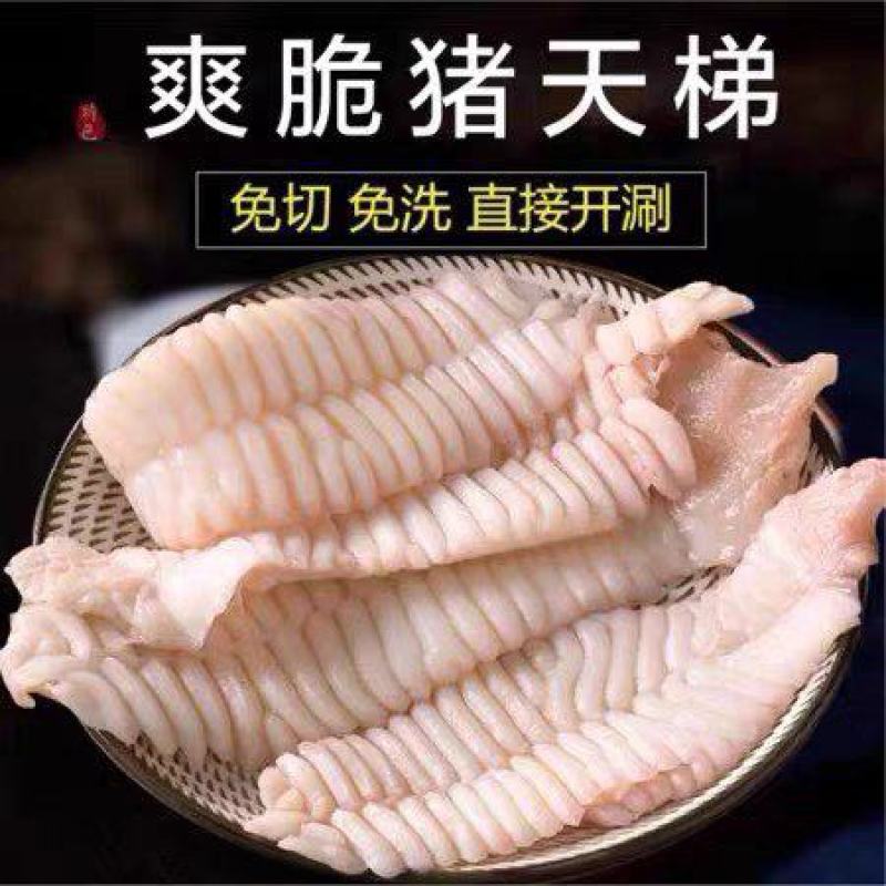 猪天梯货干冰水少精修不带肉猪天堂火锅食材板牙