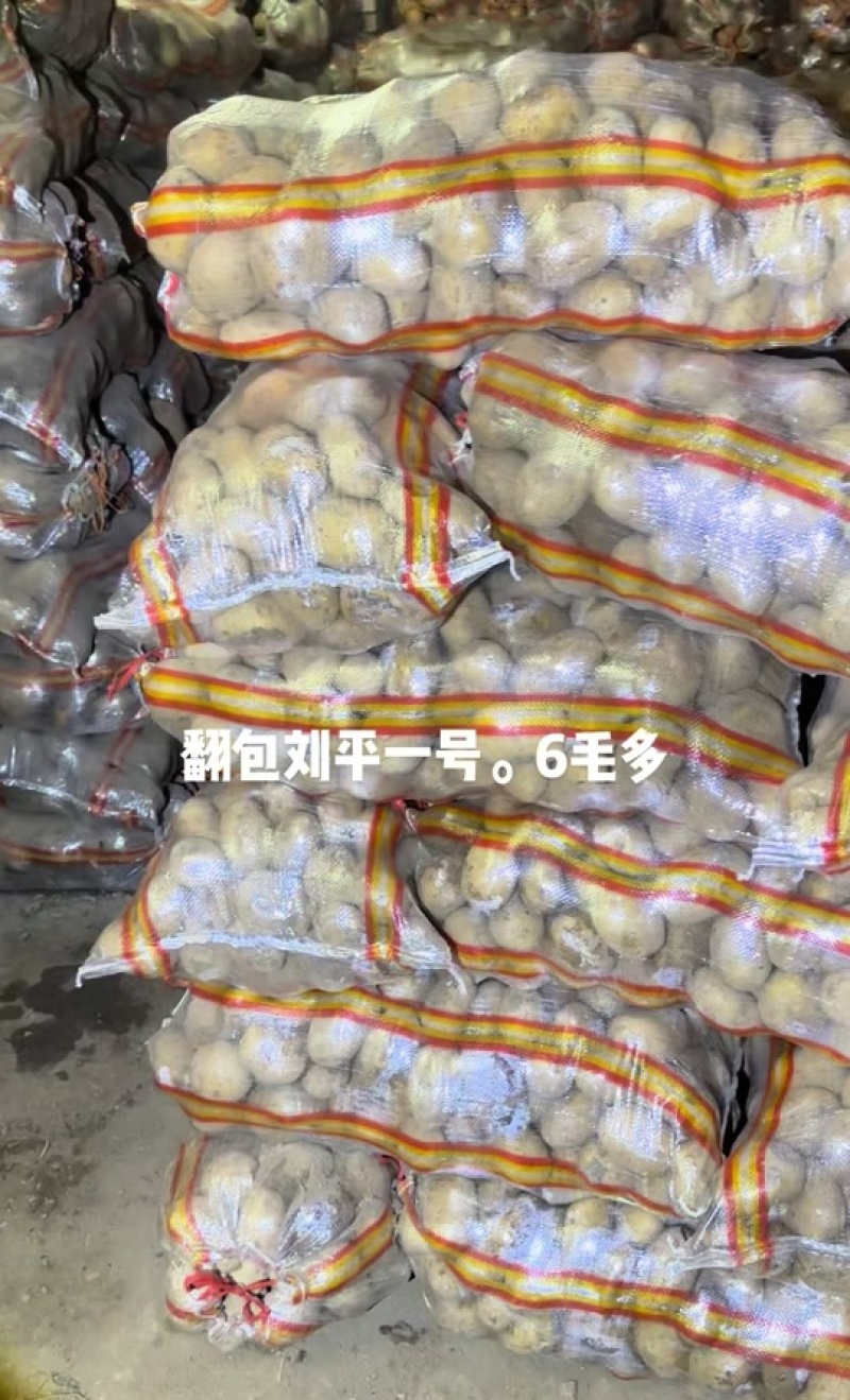 《刘平一号》新土豆&新鲜现挖/个头大卖相好/河北土豆