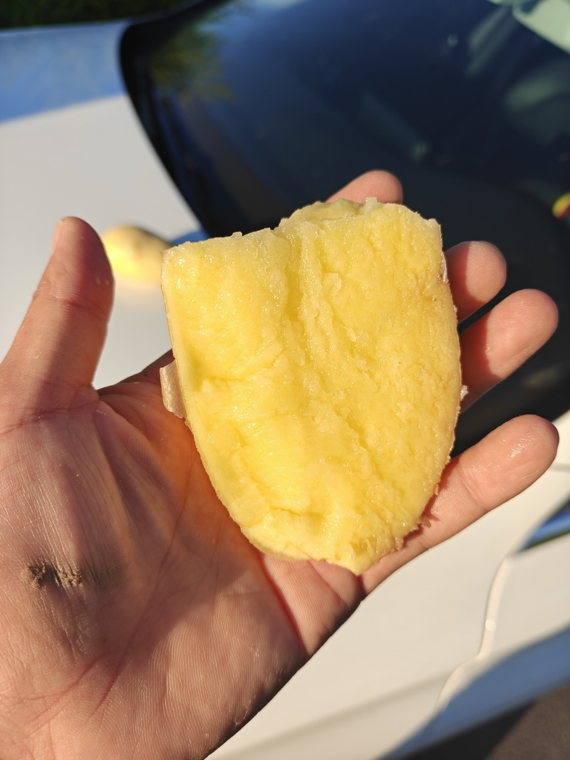 实验1号土豆内蒙古土豆产地直发现挖现发对接全国等
