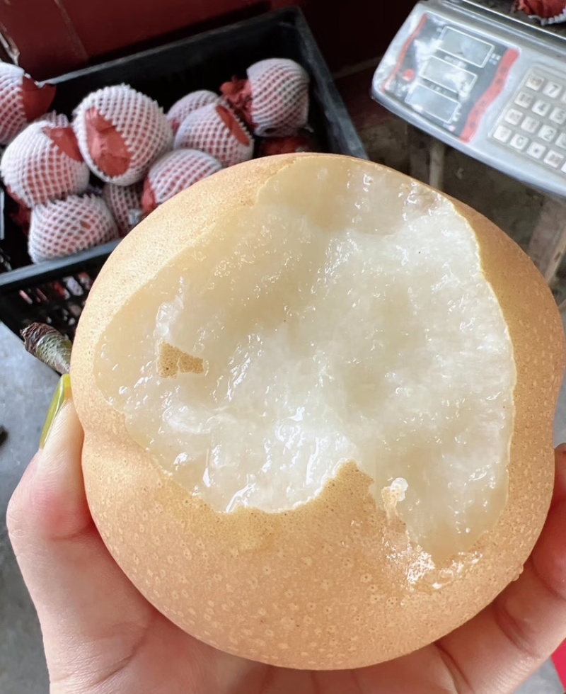 【实力供货】丰水梨汉中丰水梨皮薄多汁品质保证欢迎咨询