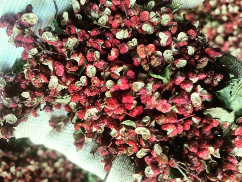 油花椒，