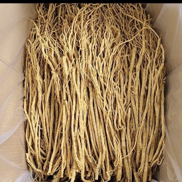 甜口防风去头去尾统货，质量保证，现货秒发