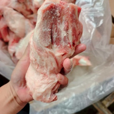 160后肘骨