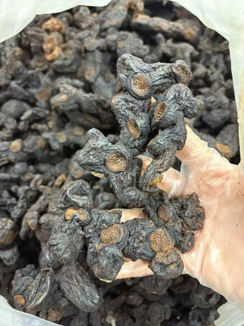 九蒸九晒古法炮制，软糯香甜口感好，一手货源自家蒸制，