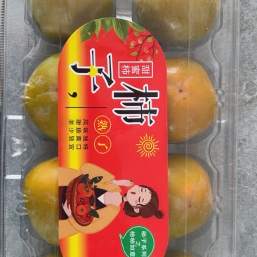 七月黄甜蜜柿农户自家种植，种植基地，对接批发市场采购等