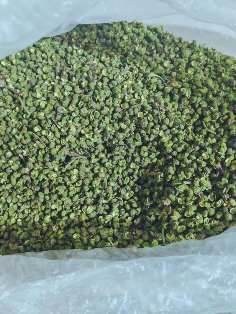 云南省昭通市彝良县自家农户青花椒