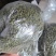 云南省昭通市彝良县自家农户青花椒