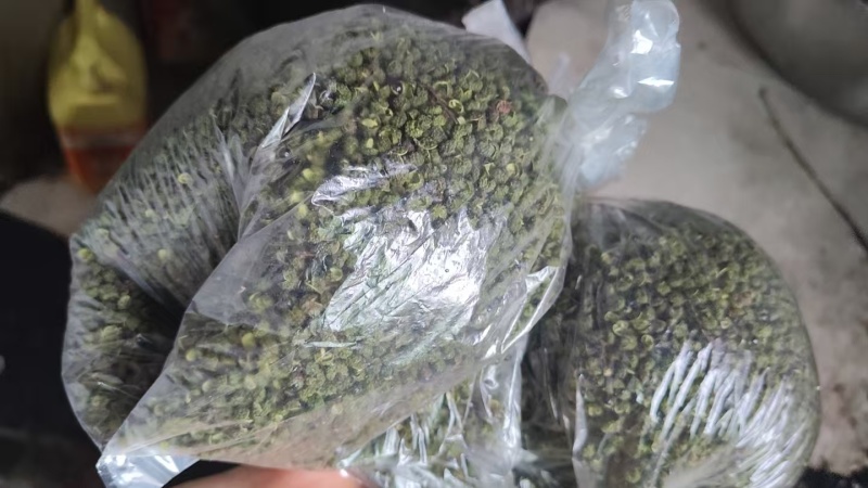 云南省昭通市彝良县自家农户青花椒