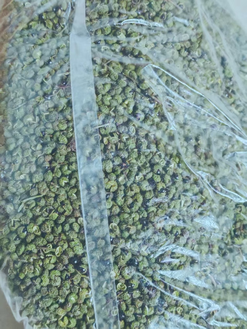 云南省昭通市彝良县自家农户青花椒