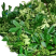 云南省昭通市彝良县自家农户青花椒