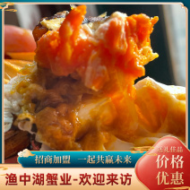 中秋福利阳澄湖大闸蟹招合作商企业采购，批发，代发一手货源