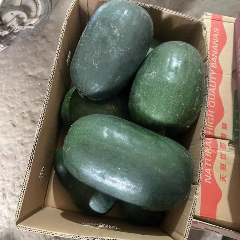 冬瓜江苏精品黑皮冬瓜，一手货源，量大从优，欢迎咨询。