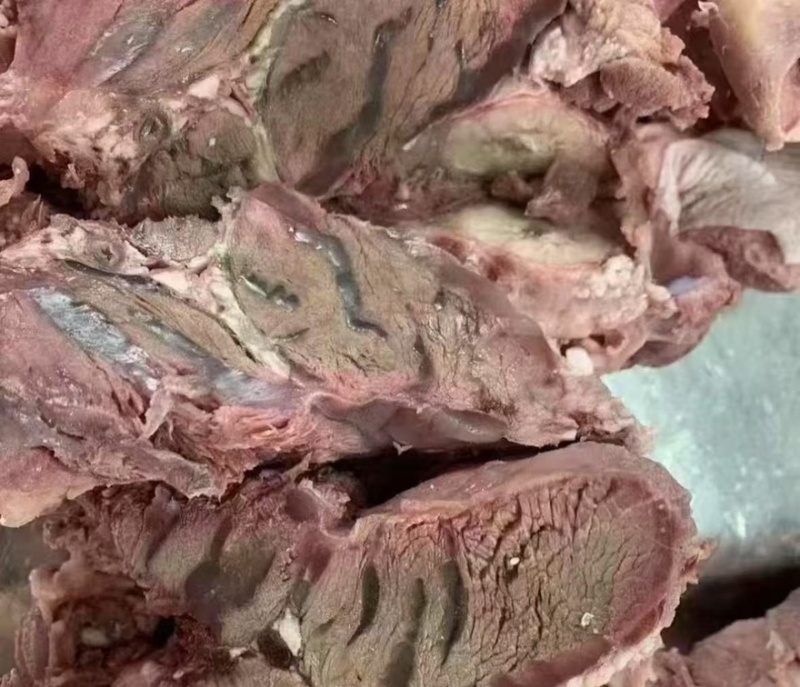 【牛腮肉】江苏连云港全熟牛腮肉肉质紧实产地直销可对接全国