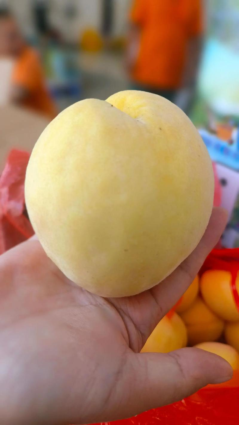 锦绣黄桃