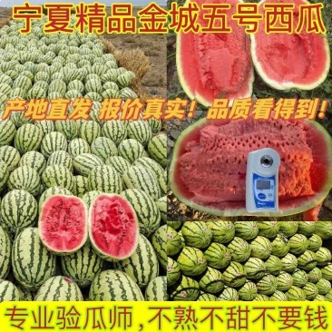 精品硒砂瓜产地直发一手货源质量保证可视频看货