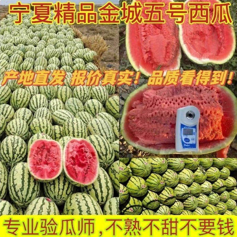 精品硒砂瓜产地直发一手货源质量保证可视频看货