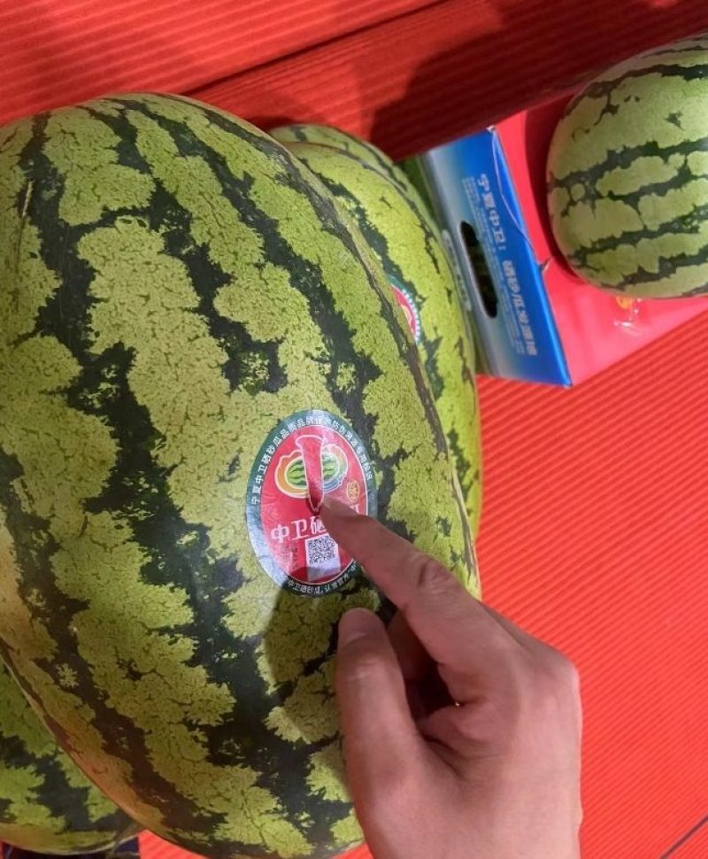 精品硒砂瓜产地直发一手货源质量保证可视频看货