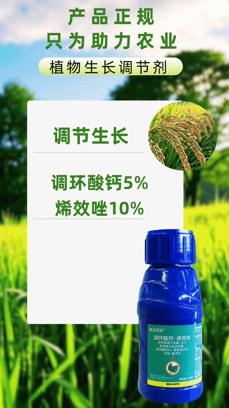 15%调环酸钙烯效唑控旺不控果促开花结实促分蘖