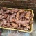 野生新鲜土茯苓广西藤县土茯苓白肉