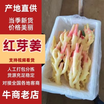 精品红芽姜，品质保证，产地直发，价格优惠，实力商家