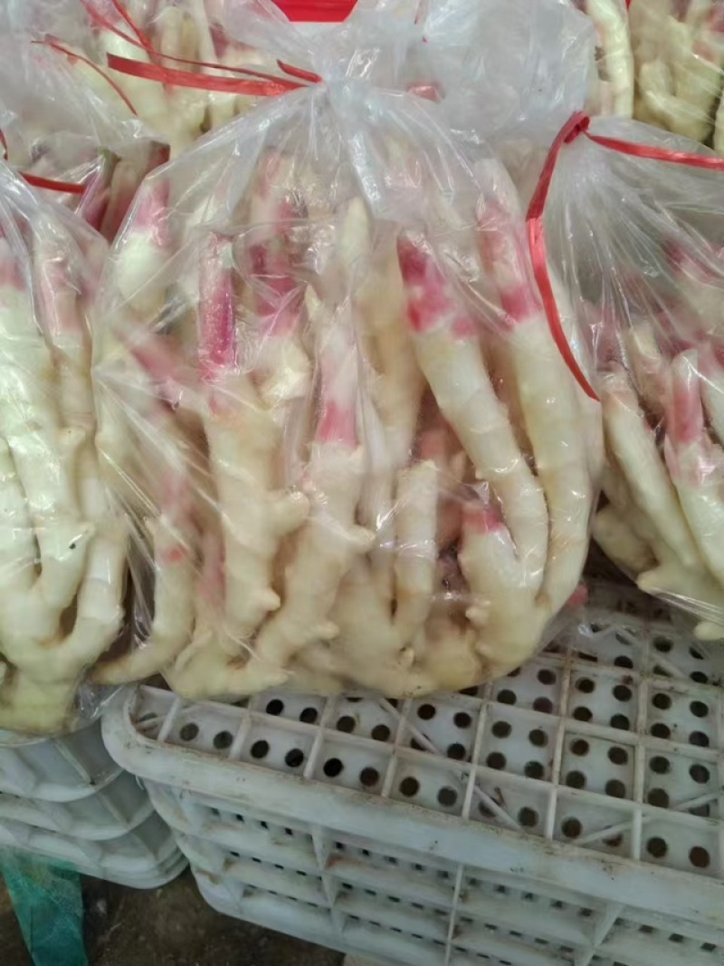 精品红芽姜，品质保证，产地直发，价格优惠，实力商家