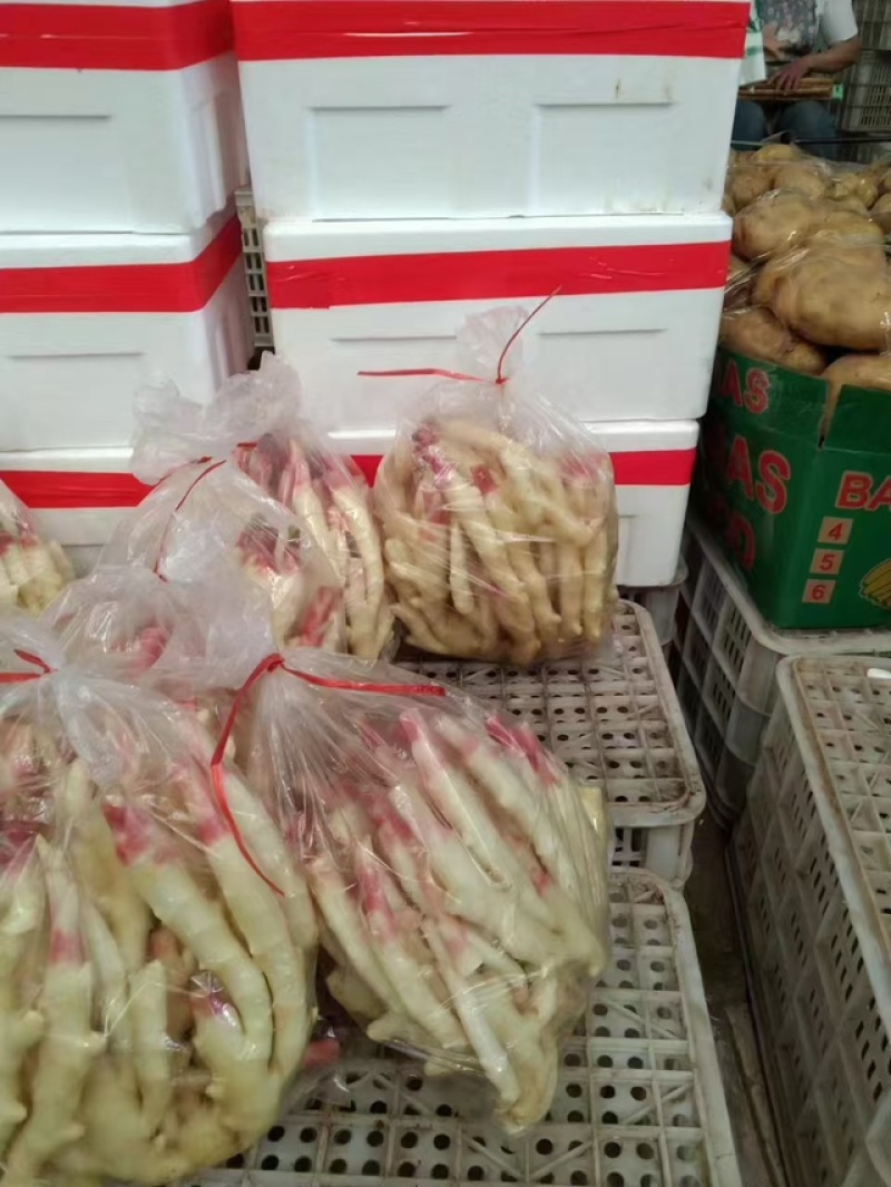 红芽鲜姜，品质保证，价格优惠，一手货源，实力商家