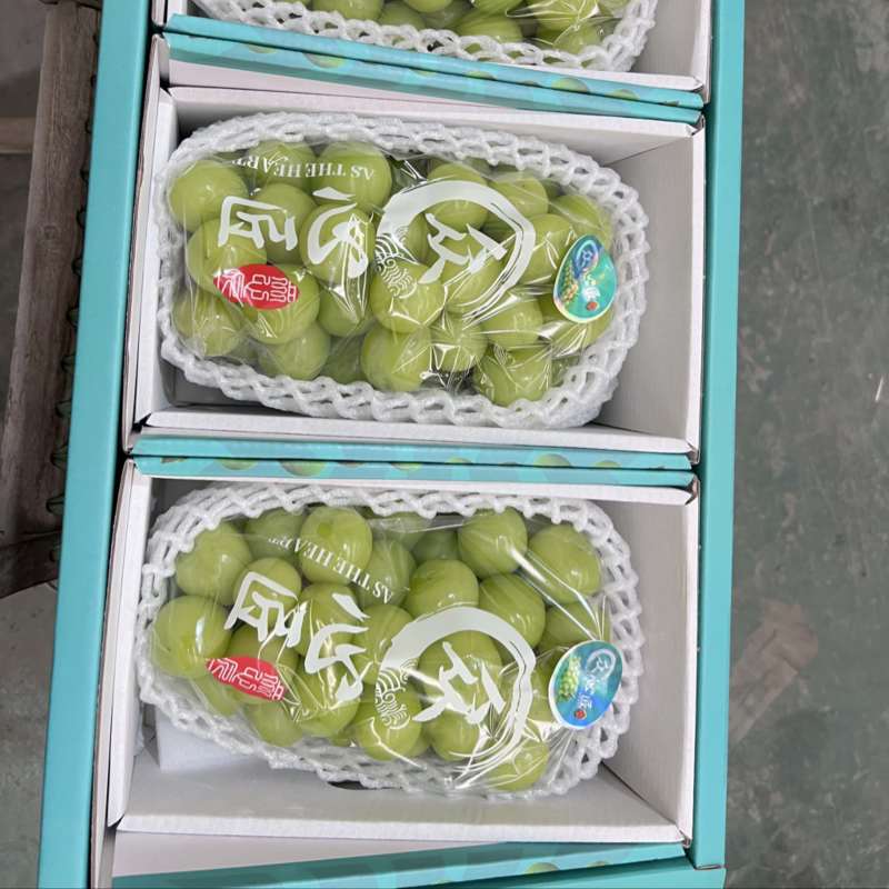 阳光玫瑰葡萄可提前预订，口感、串行、品相好，产地直发