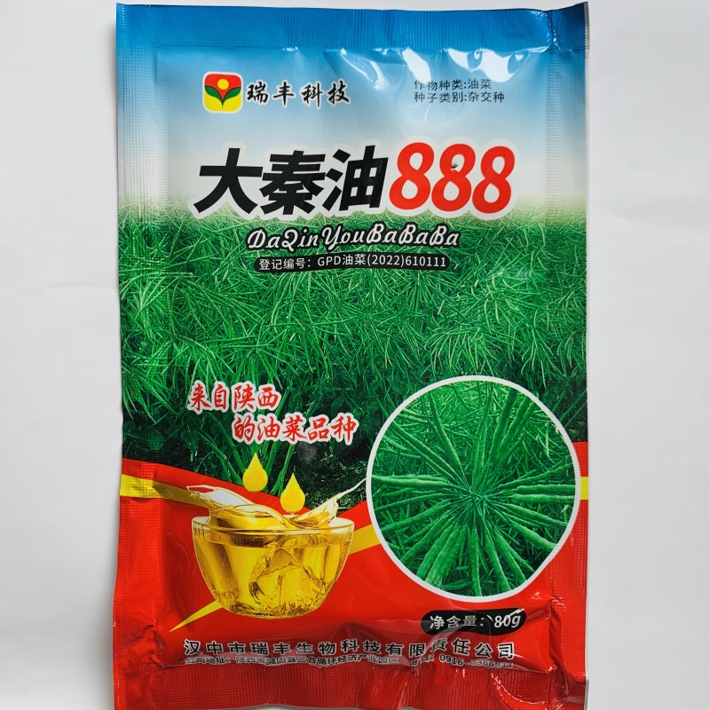 大秦油888油菜种子陕西油菜新品种出油率高抗倒抗病油菜籽