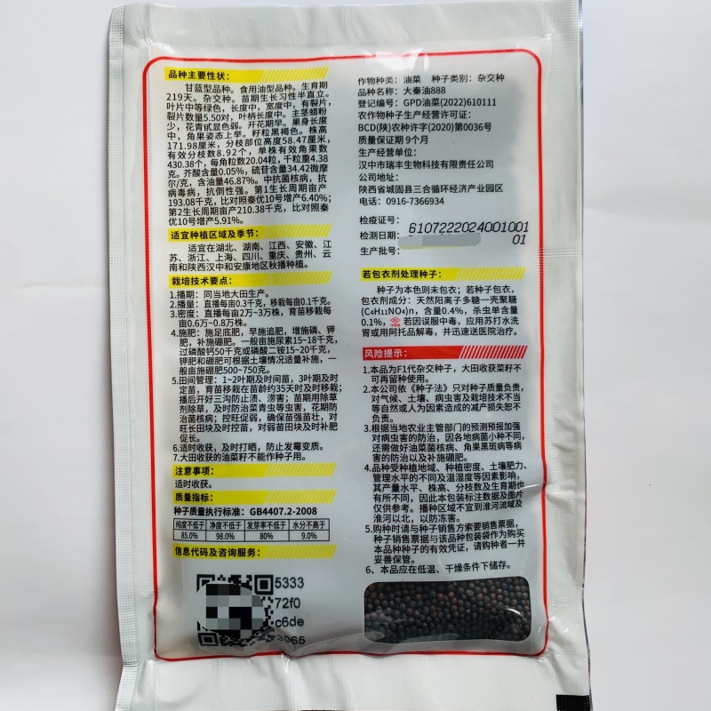 大秦油888油菜种子陕西油菜新品种出油率高抗倒抗病油菜籽