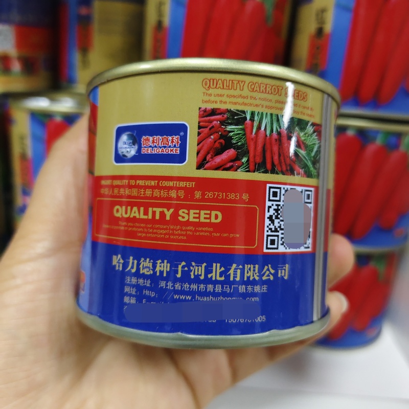 红果2号胡萝卜种子中早熟鲜食加工两用胡萝卜种籽甜脆
