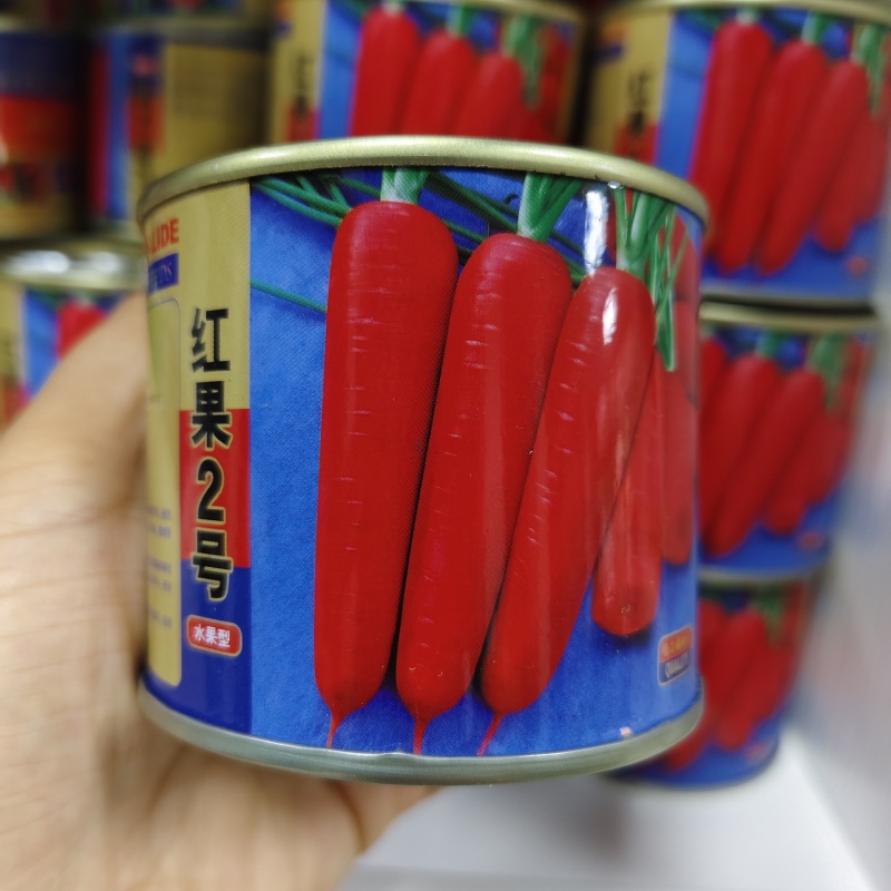 红果2号胡萝卜种子中早熟鲜食加工两用胡萝卜种籽甜脆